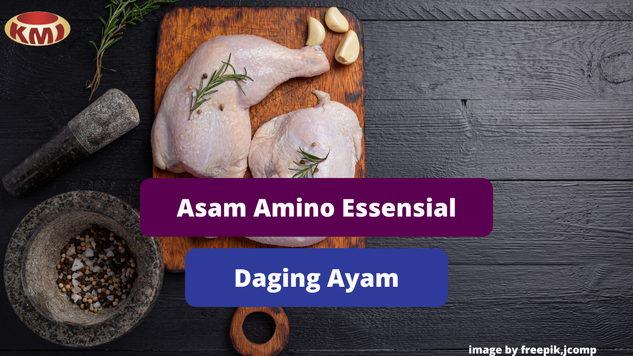 Profil Asam Amino Dalam Daging Ayam